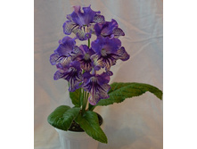 Ds-1056 (������)