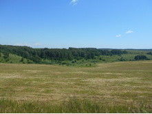 DSCN1119.JPG