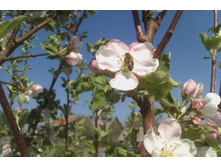 ���,���� ������!!!