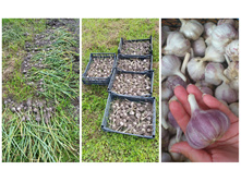 ������ -������ ��� ���� �������, ��������� �� �������!