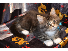 2 ������