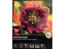 �������� �� �����.