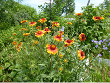 P1040002.JPG ��������� 20�