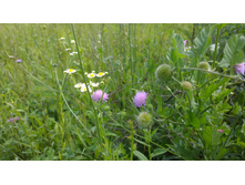 WP 20150701 13 58 01 Pro.jpg