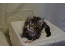 2 ������