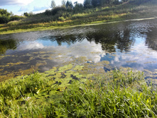 IMG 20150711 182833.jpg