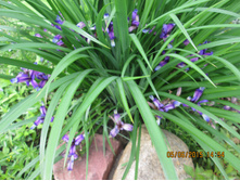 ���� ������������ -60 ���.