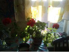 � ����)�� �����