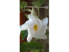 WP 20150721 18 49 46 Pro.jpg