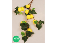 403/0092� - 128.00