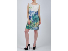 ������ ���� ���� M11765/0415