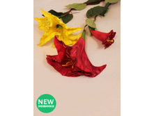 403/0049� - 309.00