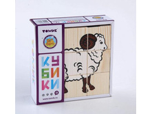 ������ �������� ��������.jpg