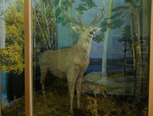 DSCN1410.JPG