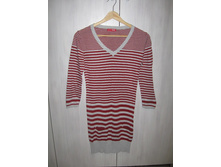 ������ ����