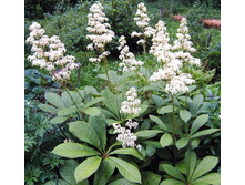 ��������� 180�