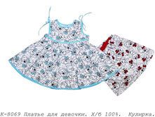 ������ �-8069.jpg