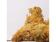 ��� ������������ 50 �, ���� ������, ���. 54801602 260�.jpg