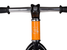 ������� runbike pro ��������� ���. ����.jpg