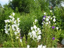 P1040001.JPG ������������