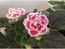 �������