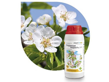 ��������� �������� 500�� ������ �15 ��� 00057008 242,50���..jpg