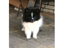 ������� ������ 018.JPG