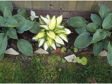 ����� ������� � ���������