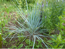 P1040064.JPG ������ 50�