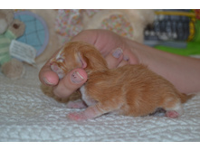 1 ������