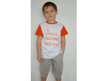 394/1-011 ������