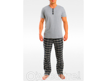 2082-17 ��������