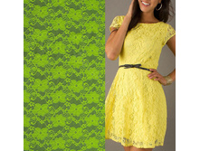 �233  950.00���  �42��52�