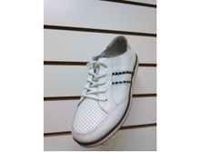 ����������� ����