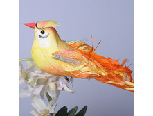 ����� ������ 6 �� A3096-2 170�.jpg