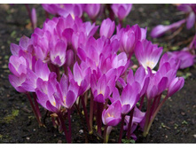 ������������.70