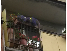 20150713 173410 cr.jpg