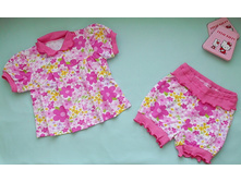 224/12/2-011 �������