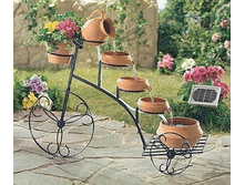 ���� ��� ����