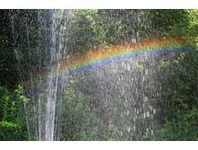 DSC 0462� (07).JPG