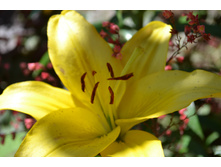 ���� 2015-27 095.JPG