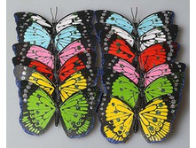 ������� 12�� 195�.jpg