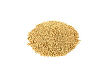 ������ �����