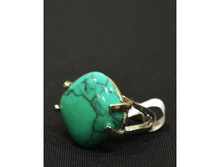 ������ � �������� ��� ������ 113 ���