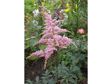 �������� ���������� �����