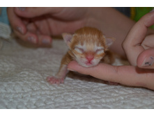 1 ������