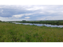 20150701 143618.jpg