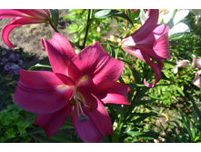 ���� 2015-27 068.JPG