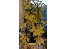 �������� ������