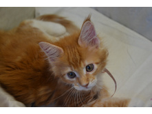 2 ������